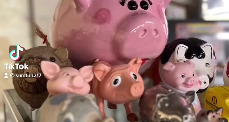 Piggy Bank Critters